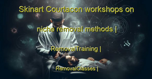 Skinart Courtacon workshops on niche removal methods | RemovalTraining | RemovalClasses | SkinartTraining-France